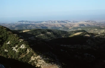 General view of al-Jibal as-Sahiliyya (the coastal mountains) covered by forests