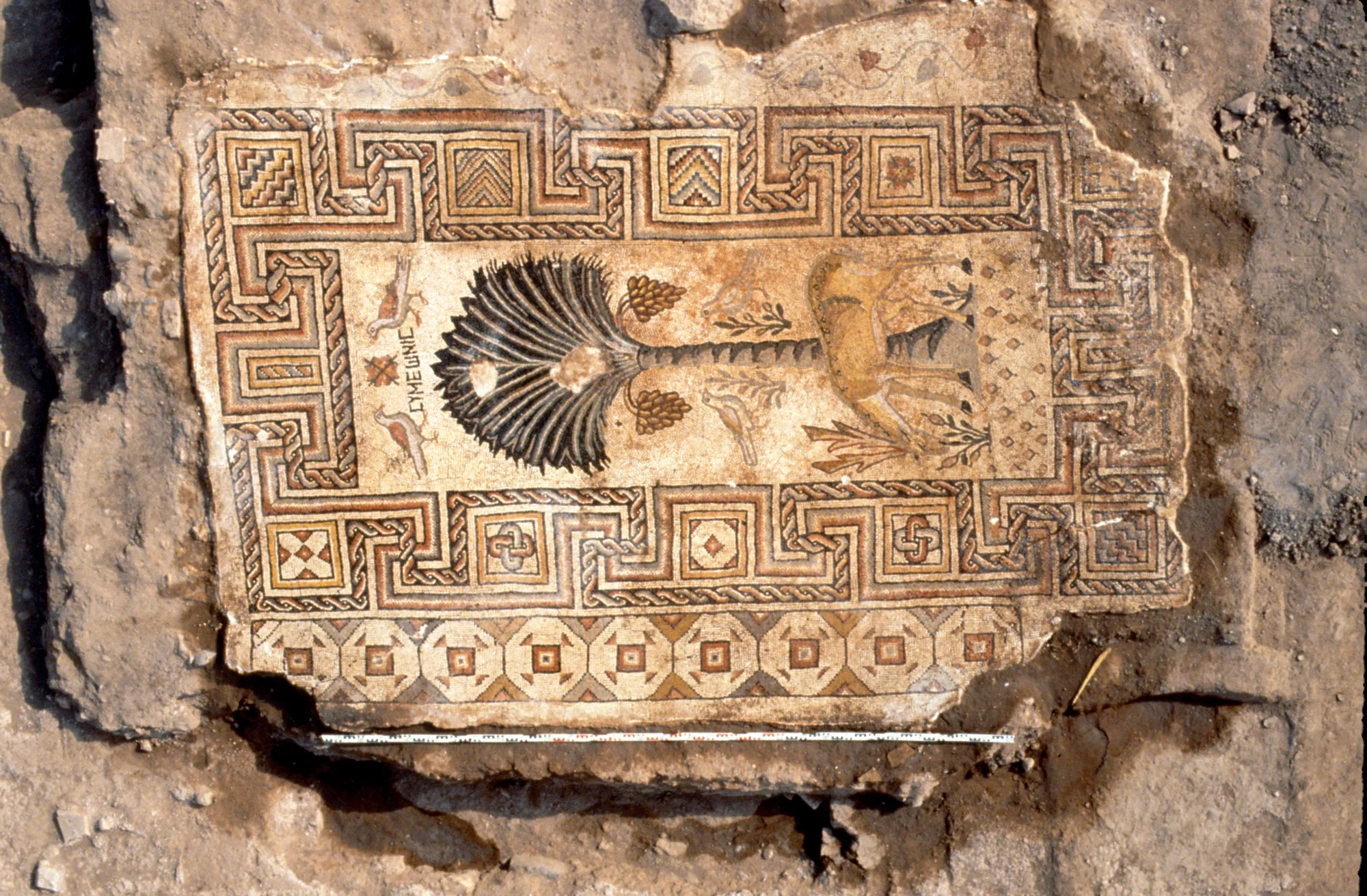 Dayr Zakka, Mosaik in einem zerstörten Gebäudeteil, auf dem eine Palme, ein Damhirsch und Vögel zu sehen sind