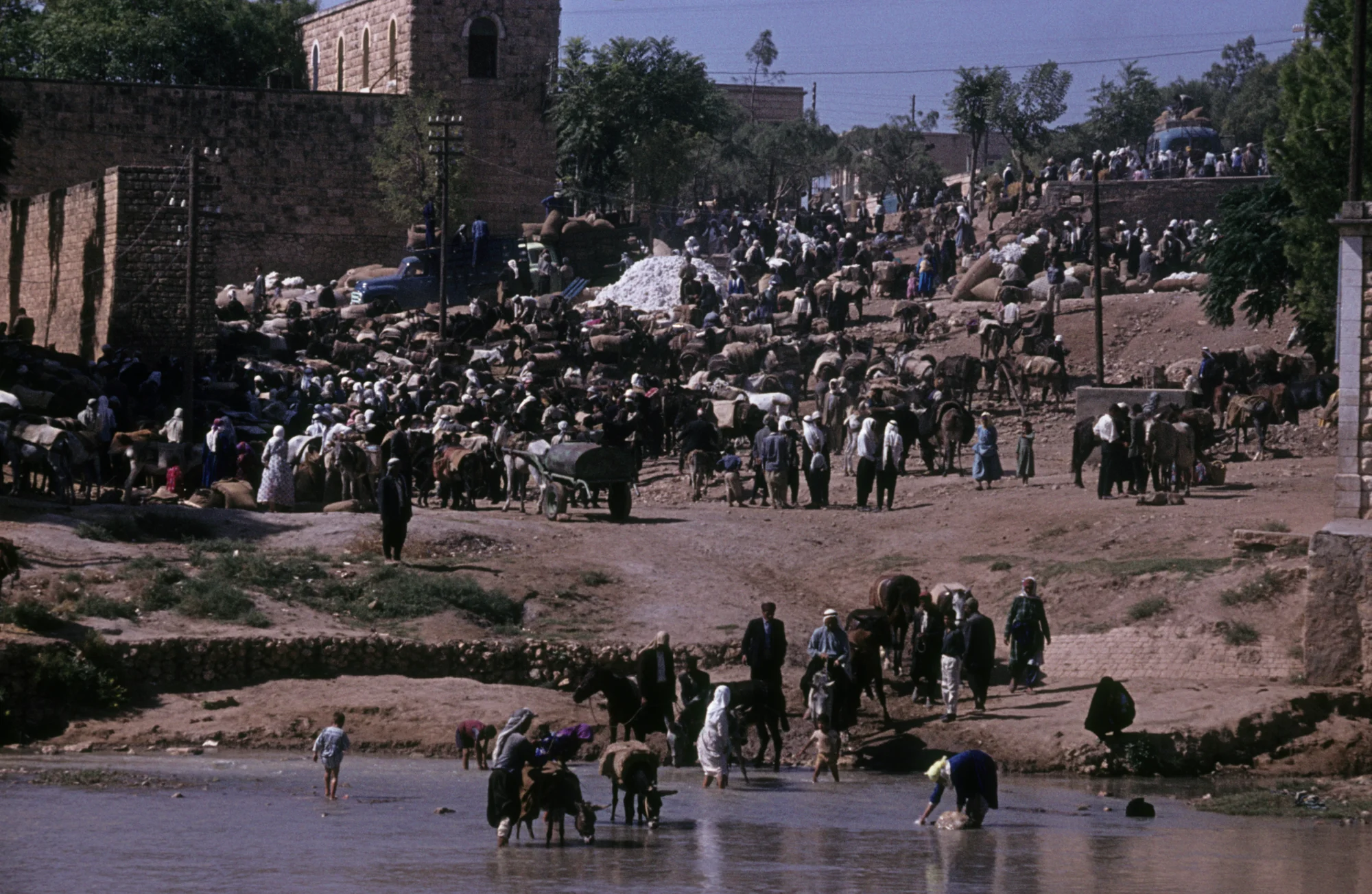 Menschenansammlung in ʿAfrin zur Zeit der Baumwollernte