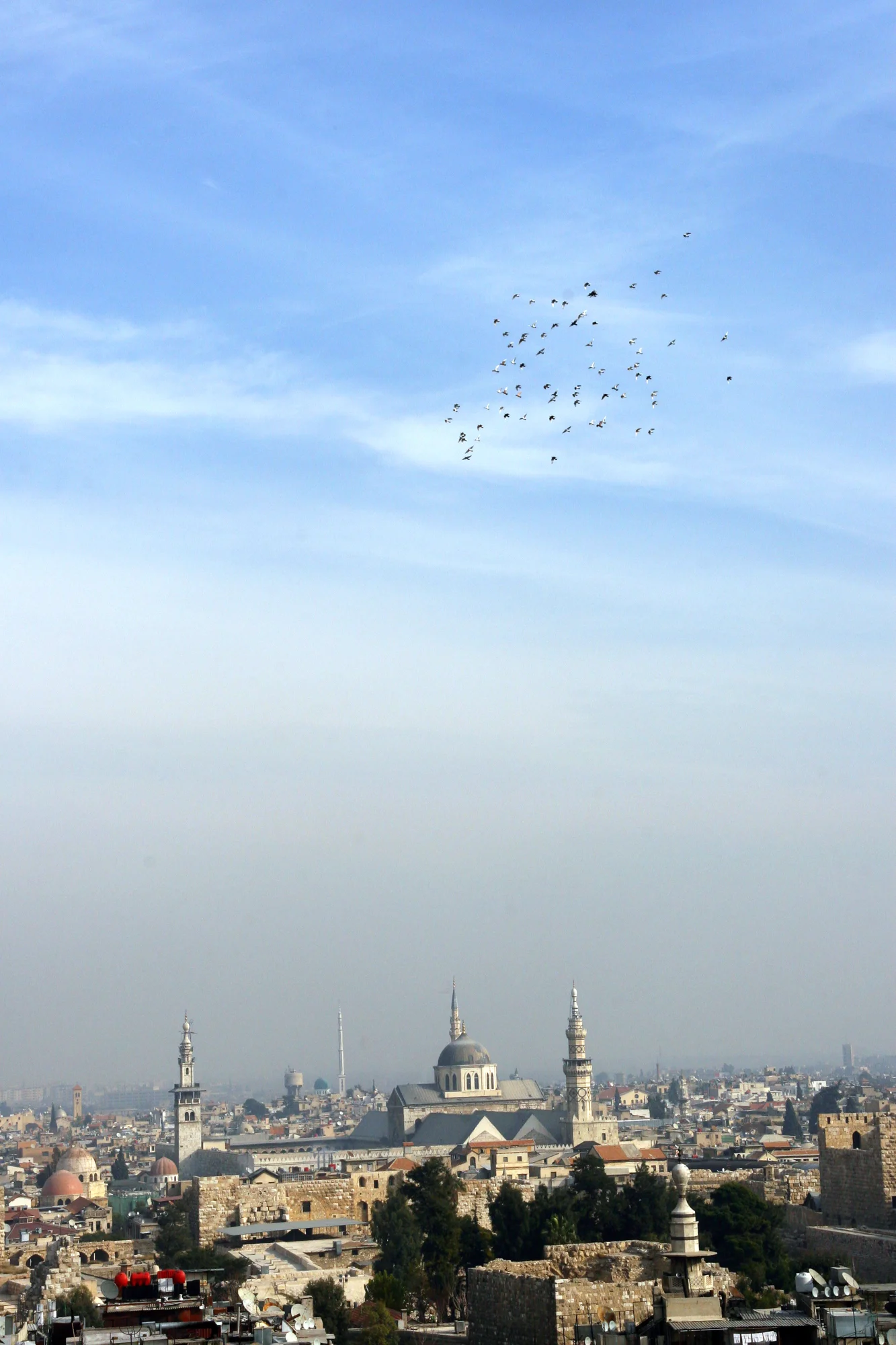 The Pigeons, old city of Damascus