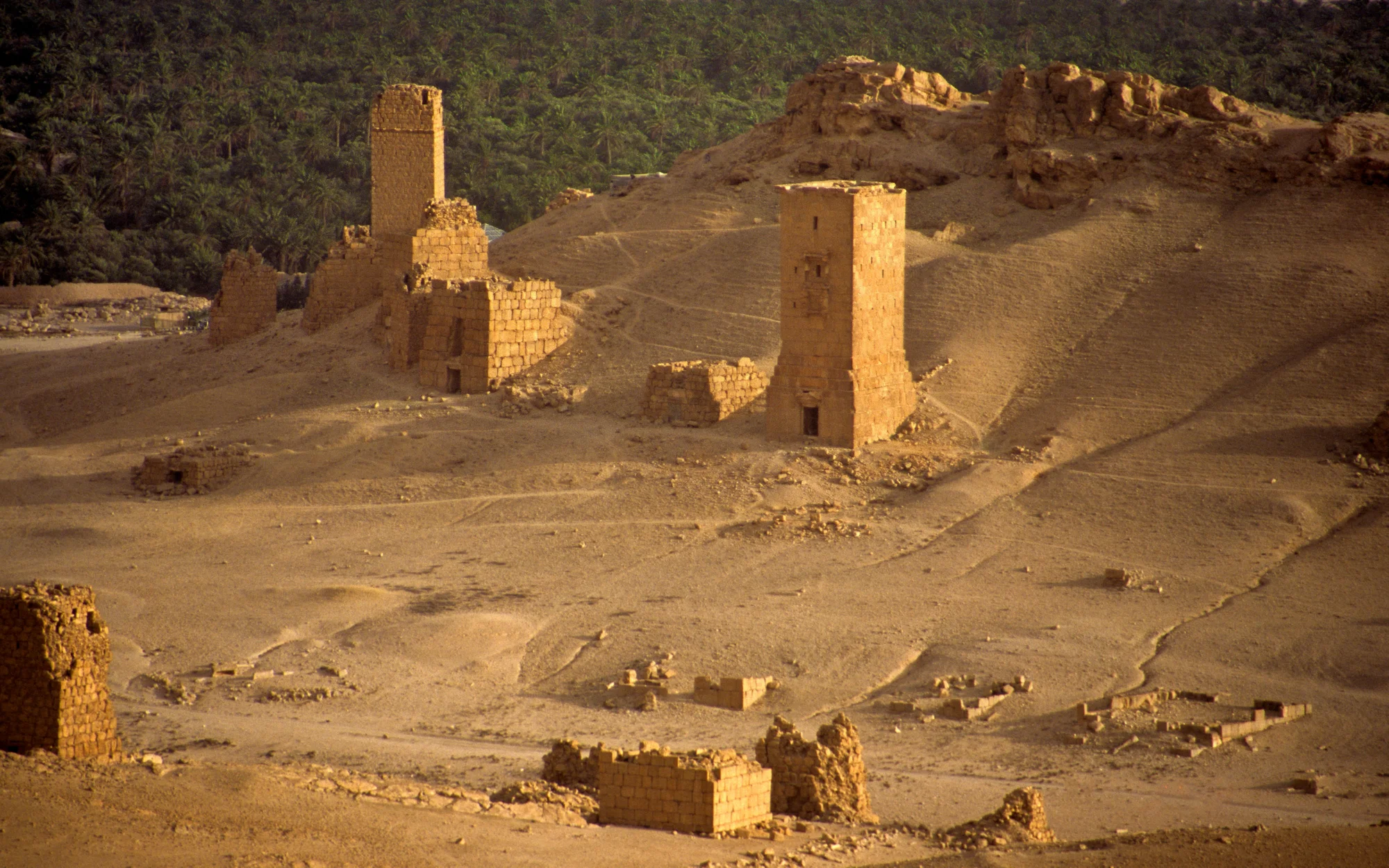 The tower tombs, Valley of the Tombs
