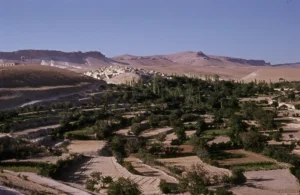 Irrigation fields of ʿAyn at-Tina in Qalamun (mountainous region in southwest Syria)