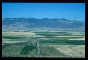 General view over al-Ghab Plain