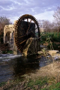 Noria (waterwheel) in Hama