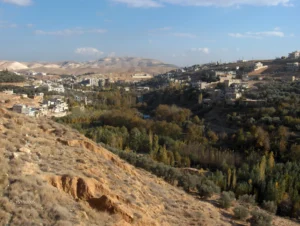 A view in Wadi Barada