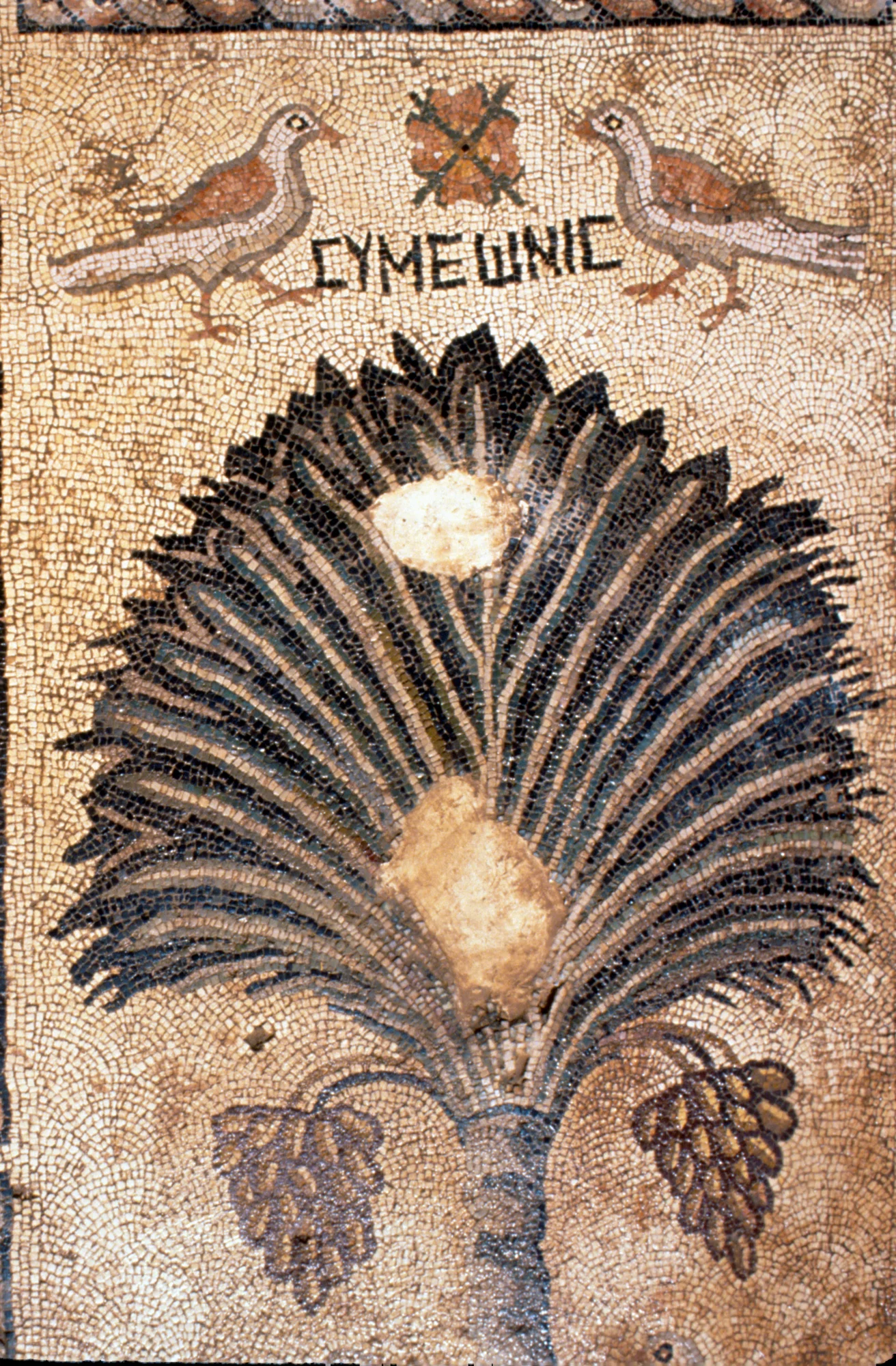Dayr Zakka (monastery), detail of a mosaic, showing the palm