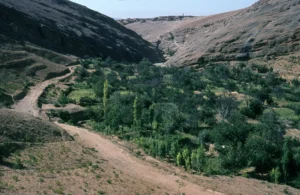 Upper Barada valley in Jibal Lubnan ash-Sharqiyya (Anti-Lebanon Mountains)