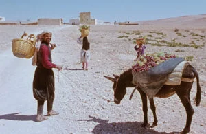 Rural life in Qalamun mountains