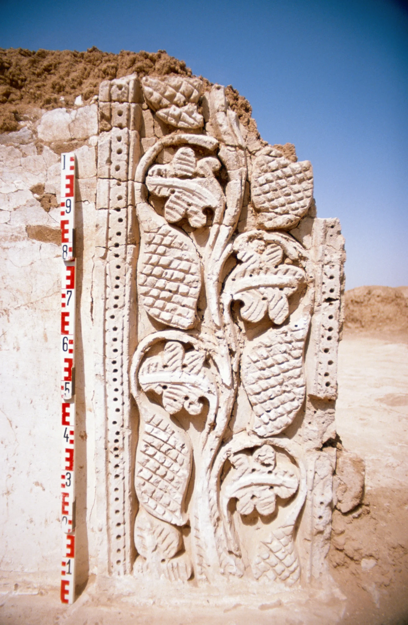 Raqqa, "East of Raqqa" site - Western Palace, vegetable stucco ornaments
